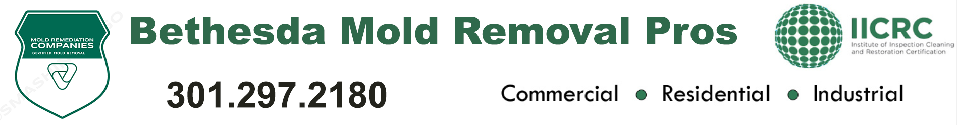 Bethesda Mold Removal Pros