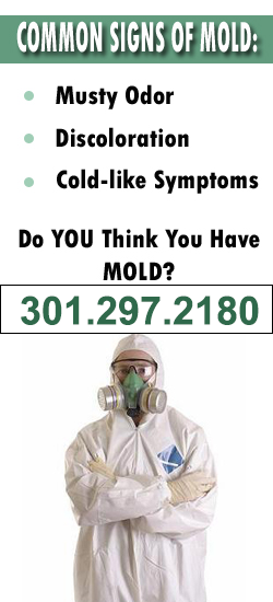 Bethesda Mold Remediation Contractor